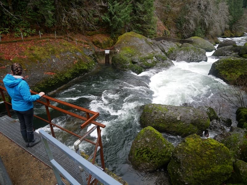 Valsetz Falls