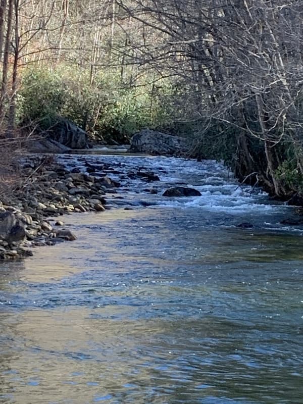Trip report photo