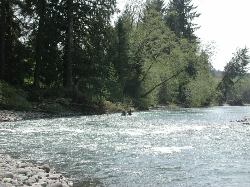 Queets River