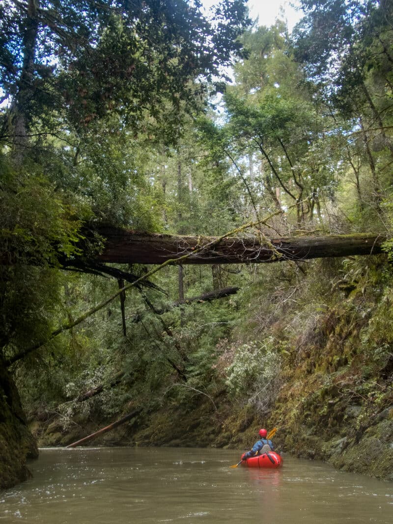 Trip report photo