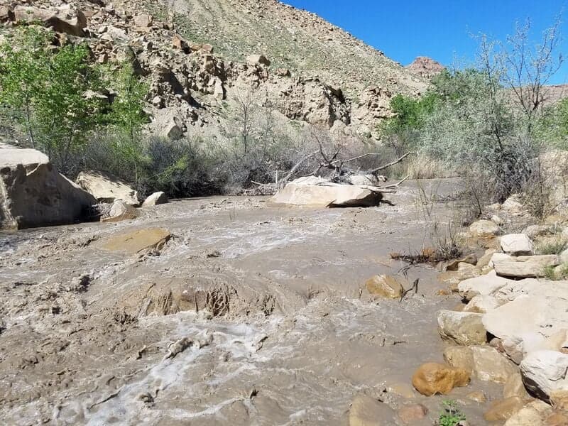 Trip report photo
