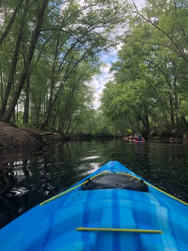 Trip report photo