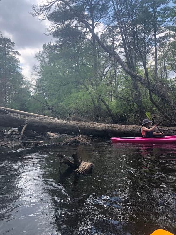 Trip report photo