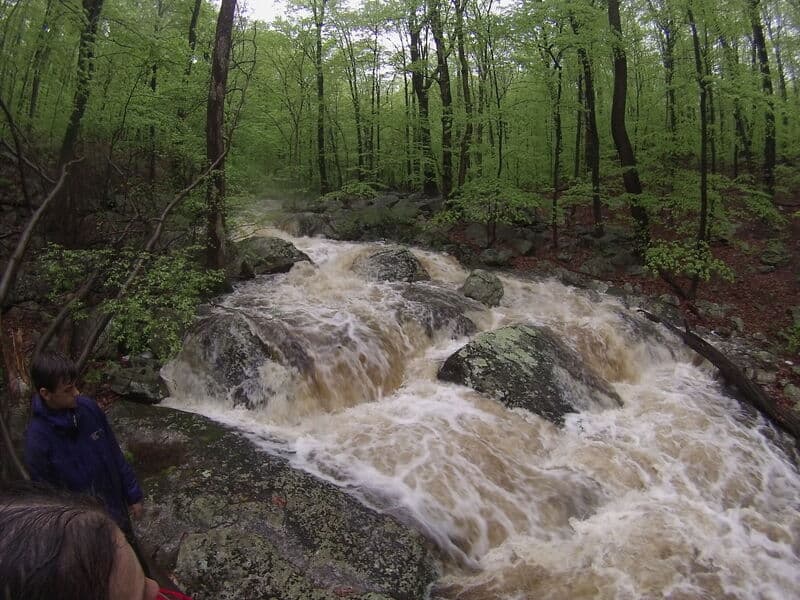 Trip report photo