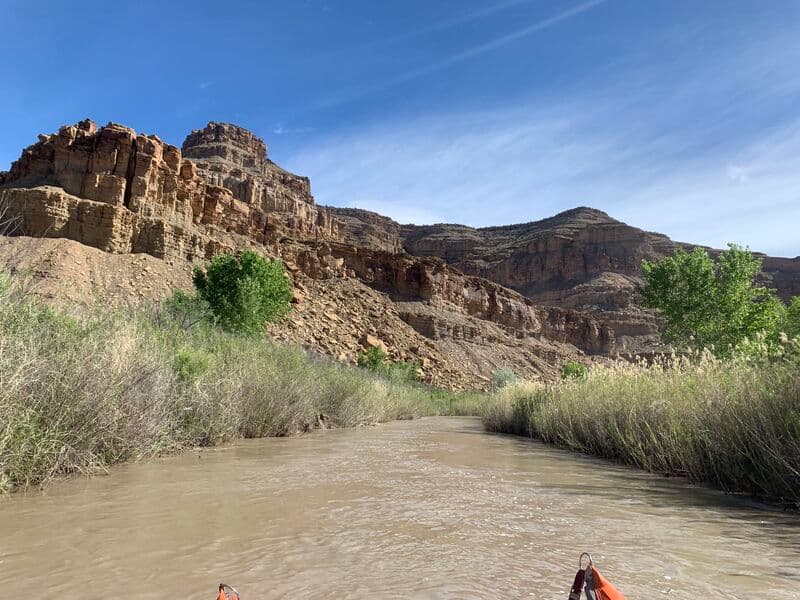 Trip report photo