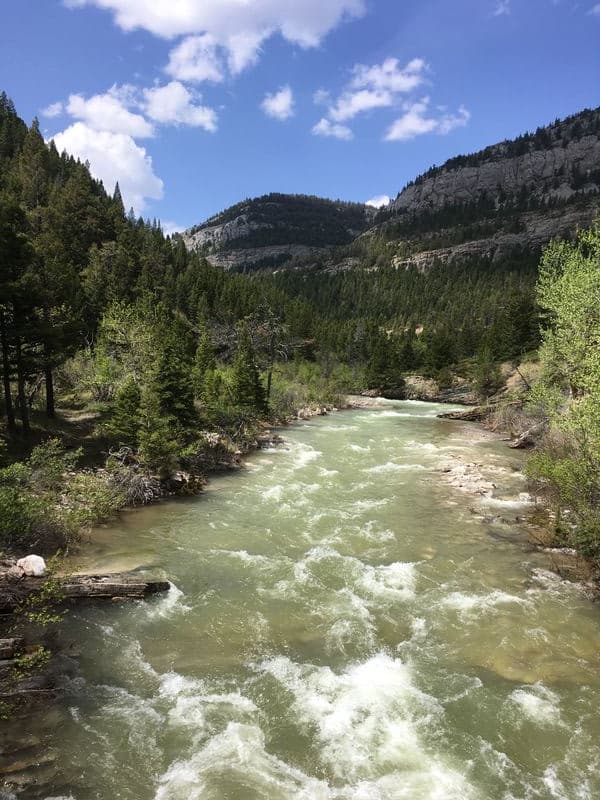 Trip report photo