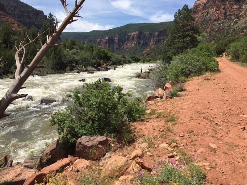 Trip report photo