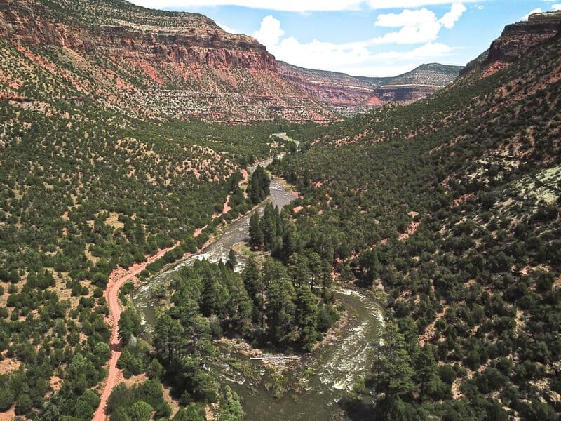 Island Rapid