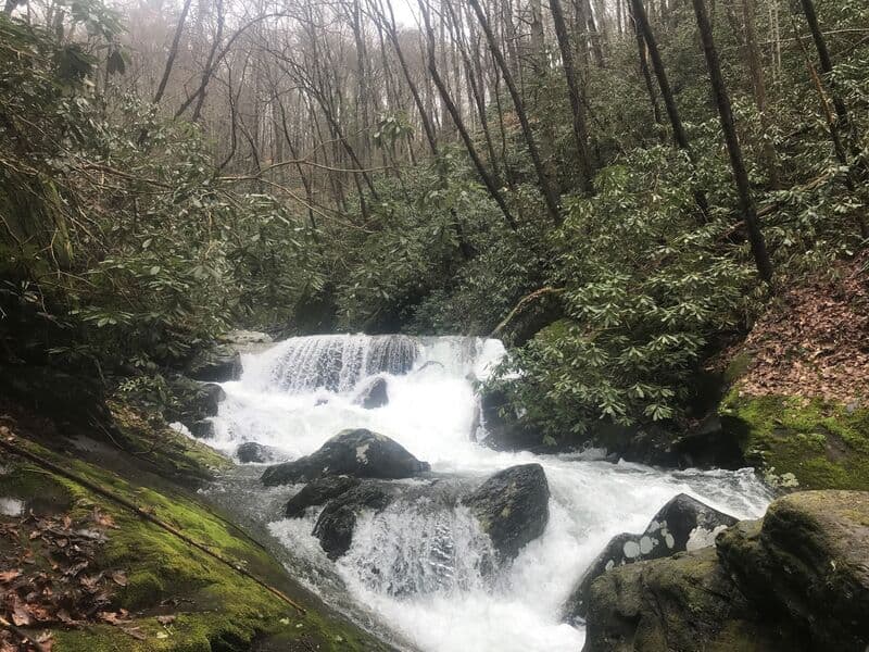 Trip report photo