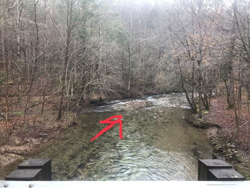 Trip report photo