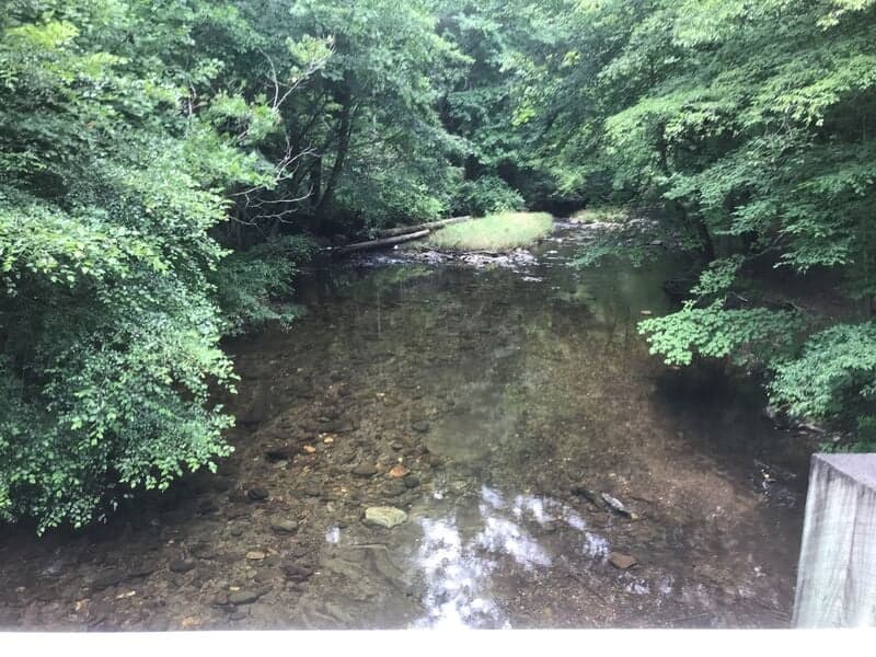 Trip report photo