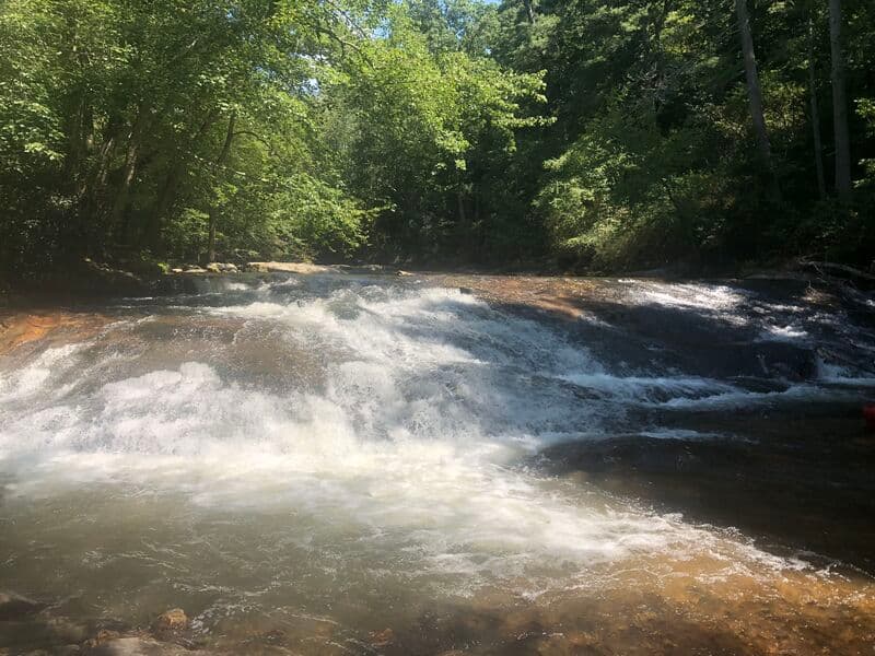 Trip report photo