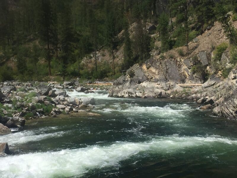 South Fork Salmon