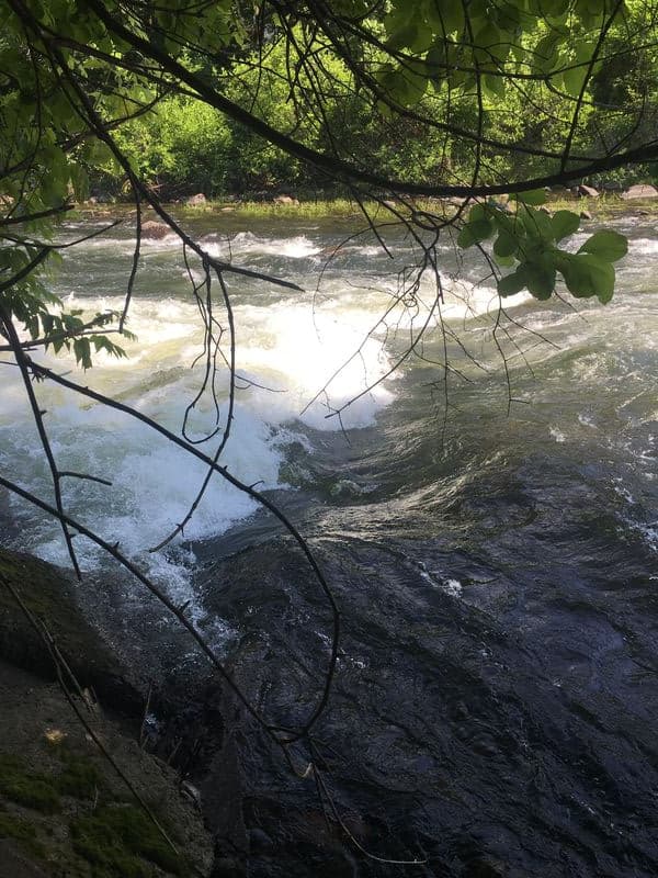 Trip report photo