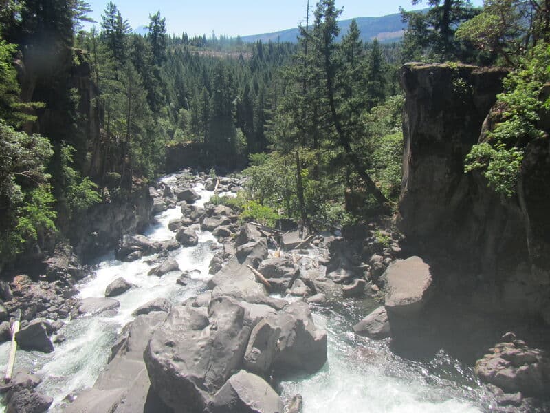 Trip report photo