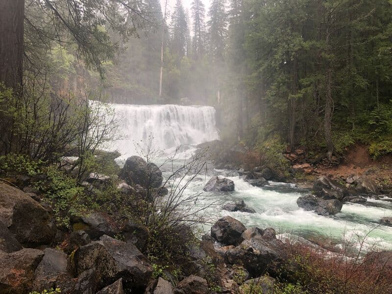 Trip report photo