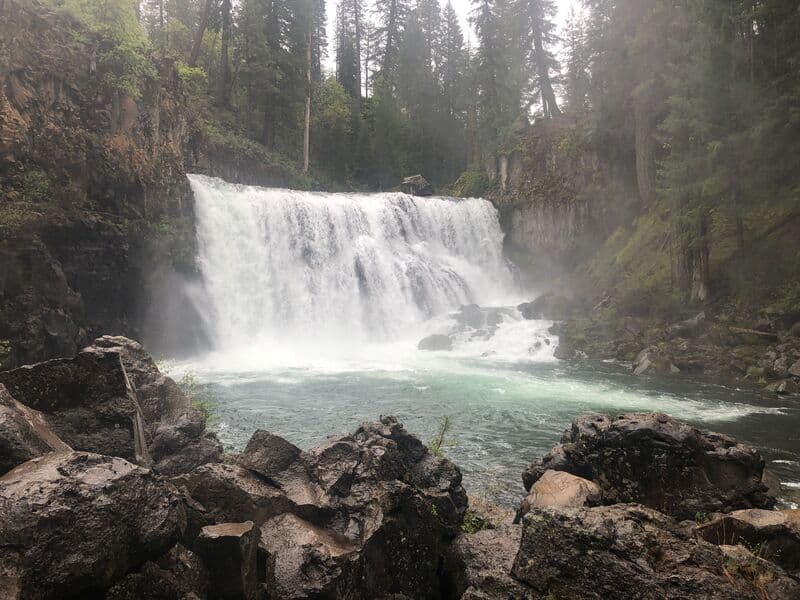Trip report photo