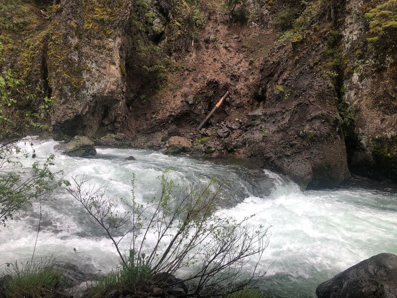 Trip report photo