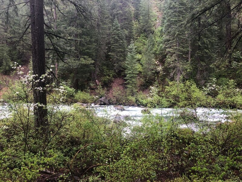 Trip report photo