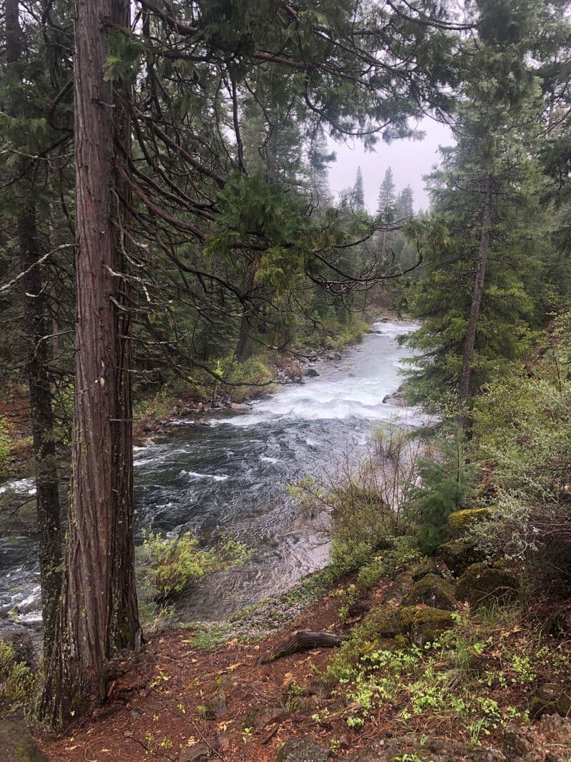 Trip report photo