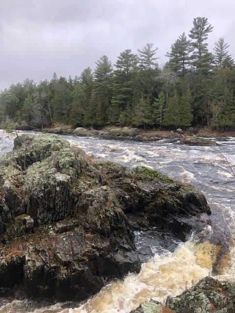 Trip report photo