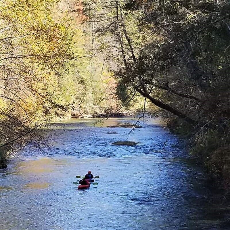Trip report photo