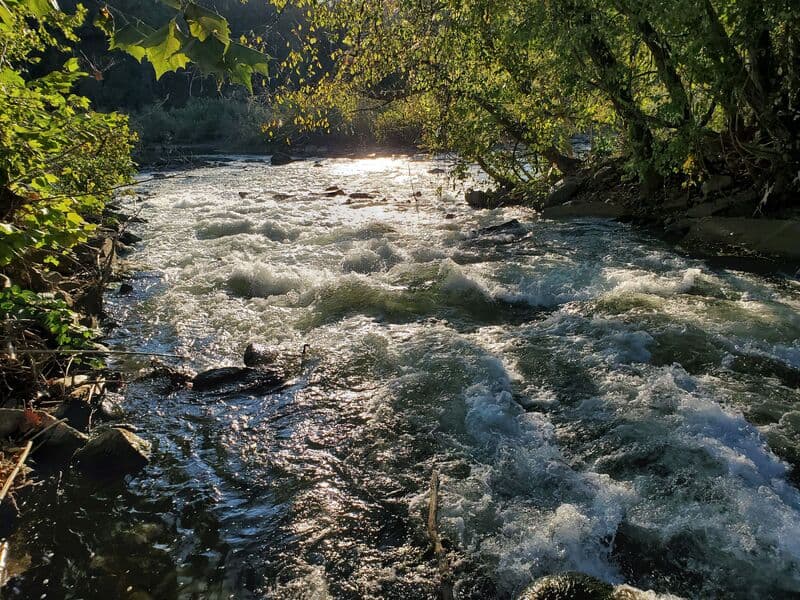 Trip report photo