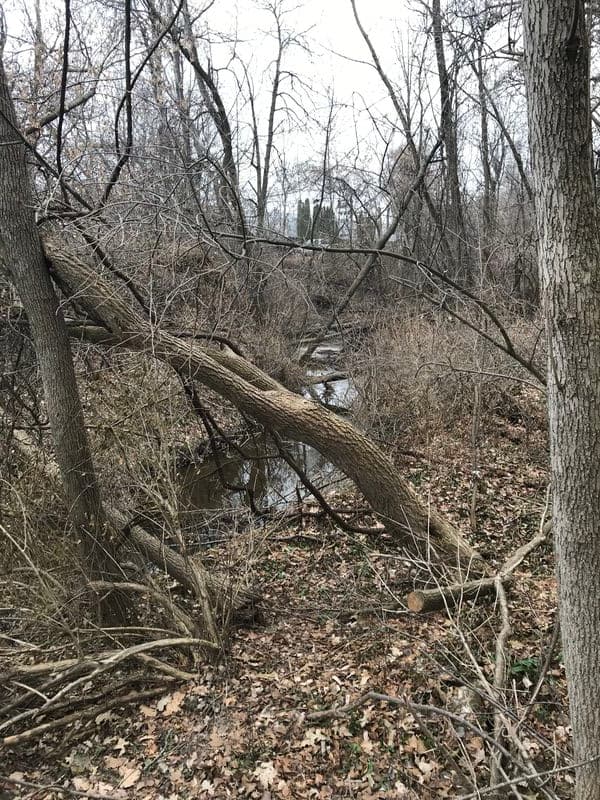 Trip report photo