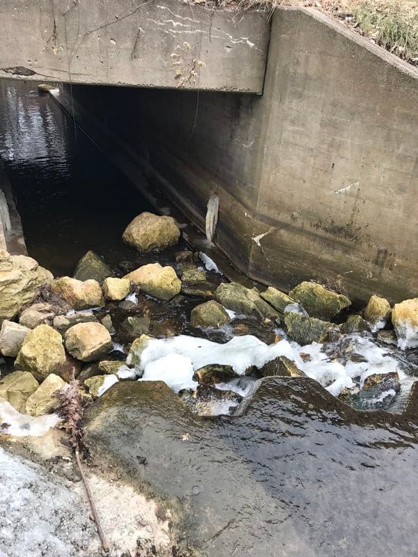Put In: S.Ravine Street