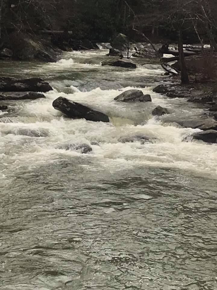Trip report photo