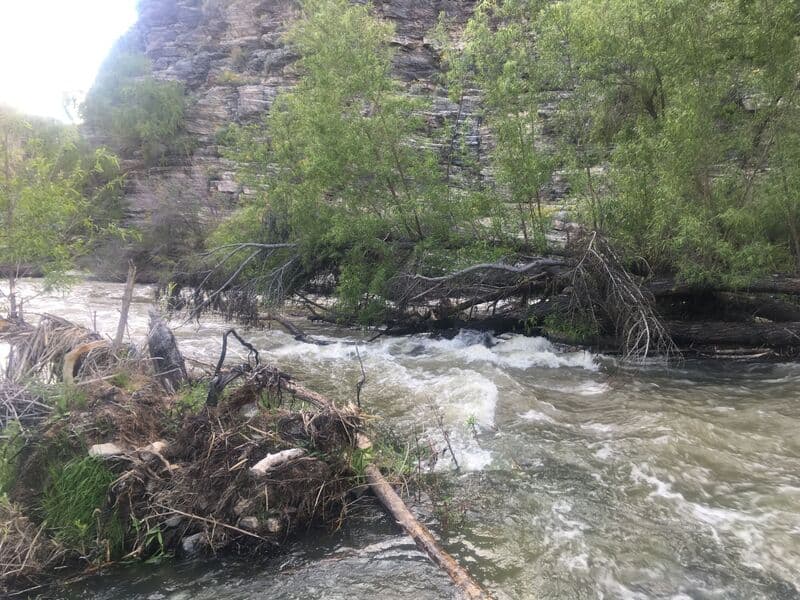 Trip report photo