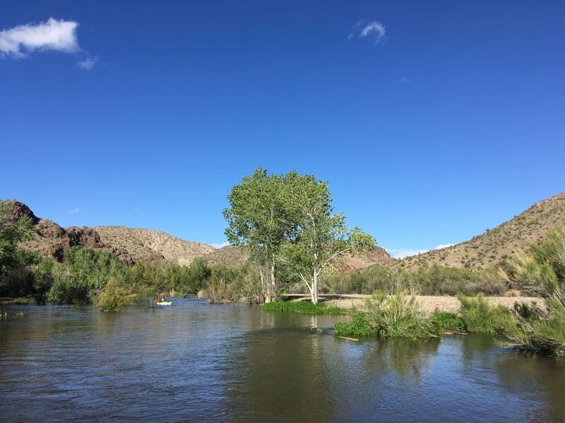 Trip report photo