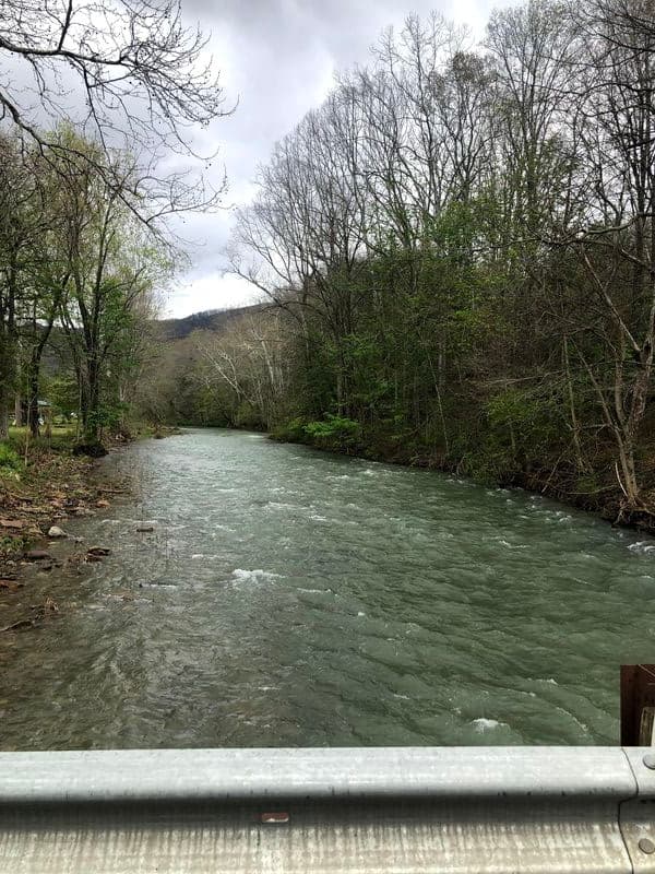 Trip report photo