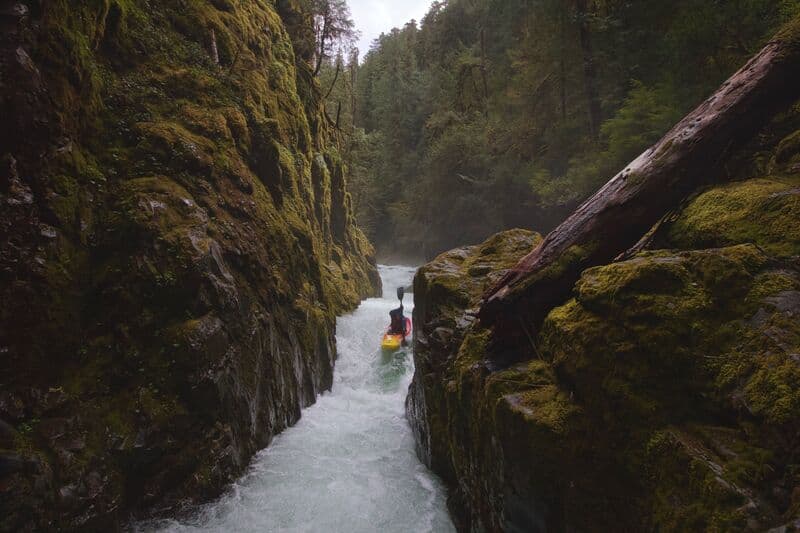 Trip report photo