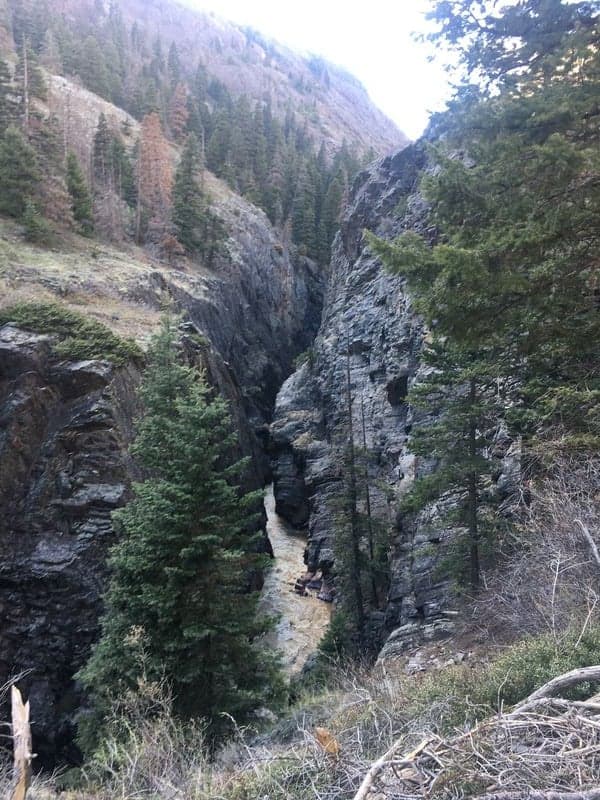 Trip report photo