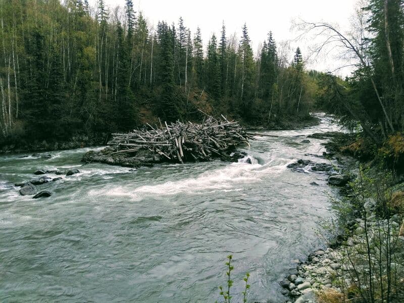 Trip report photo