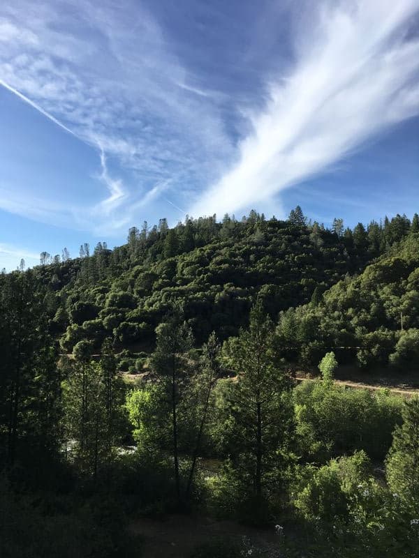 Trip report photo