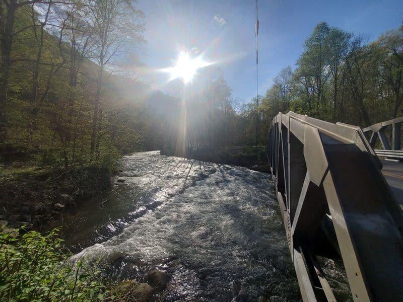 Trip report photo