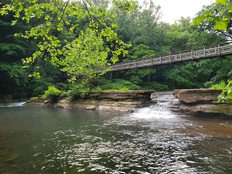 Trip report photo