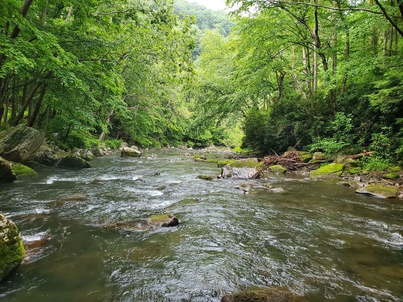 Trip report photo