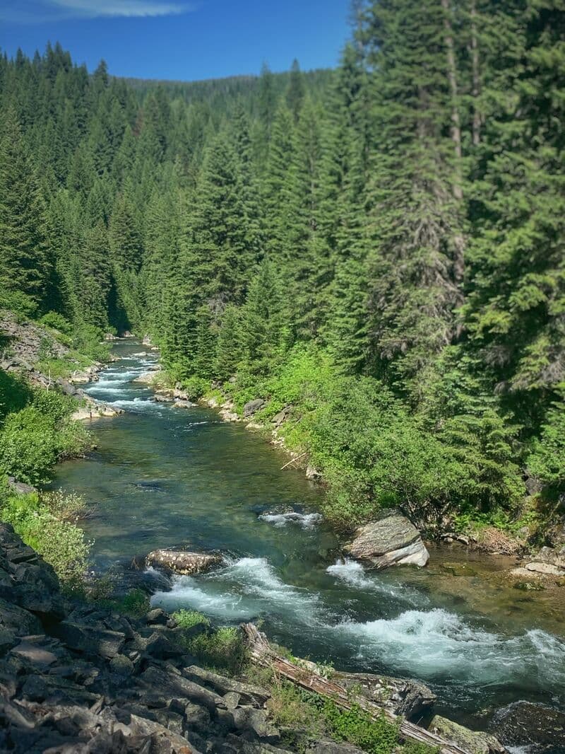 Trip report photo