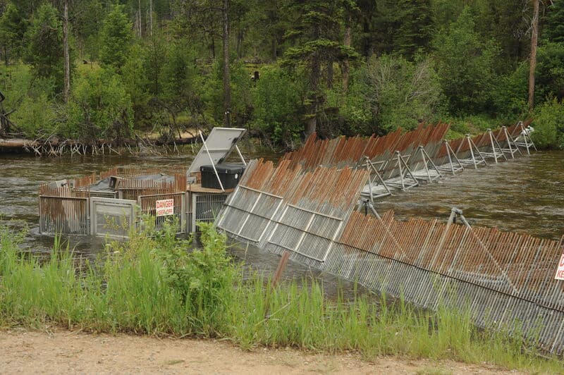 Fish Weir