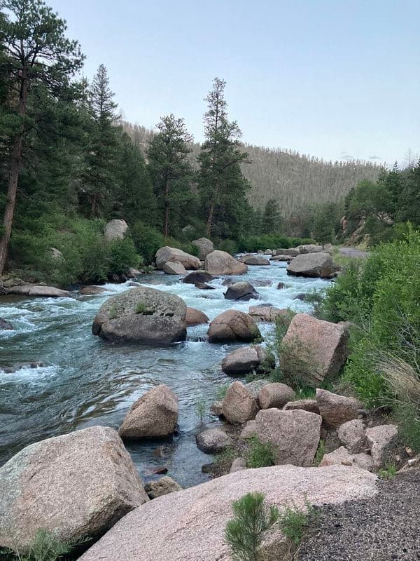 Trip report photo