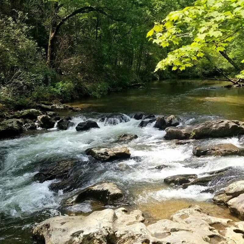 Trip report photo