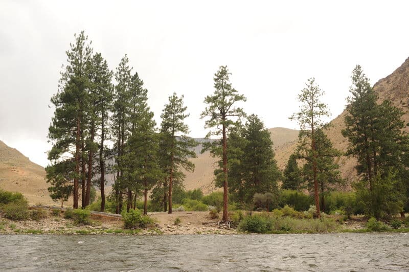 Sheep Creek Camp (RL)