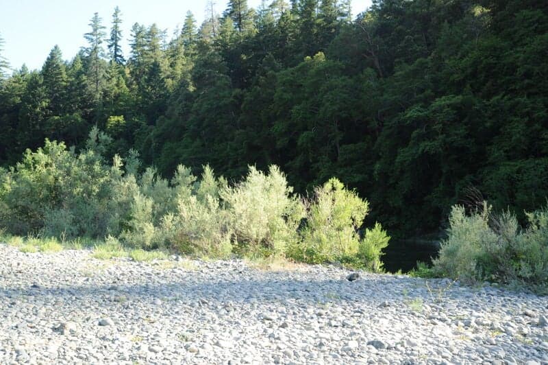 Green Riffle River Access (Take-Out Only)
