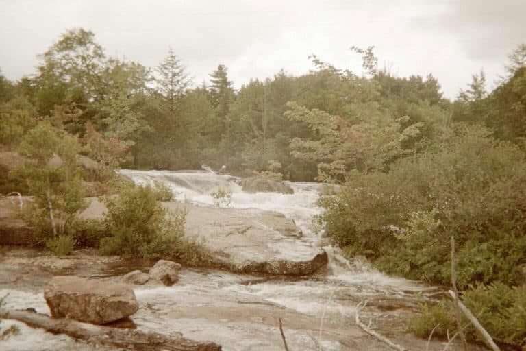Trip report photo