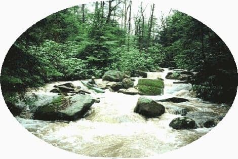 Trip report photo