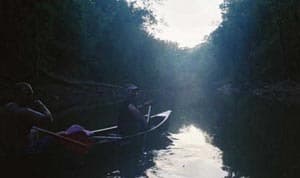 Trip report photo