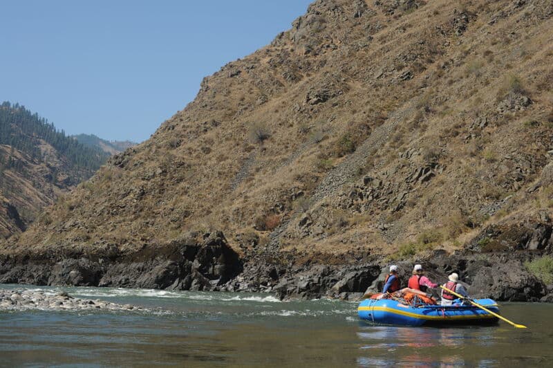 Lomas Luma Rapid